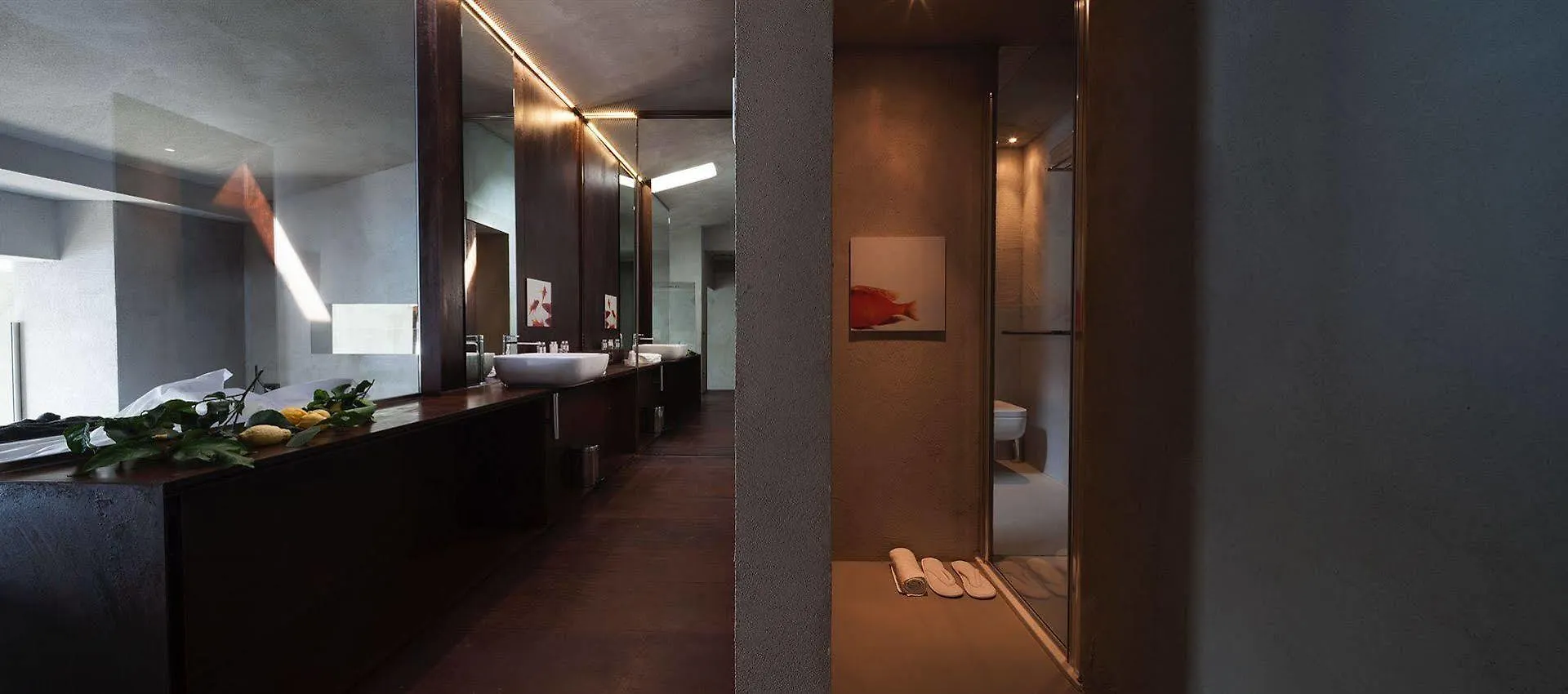 Hotel Locanda Del Benaco Salò